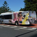 Brisbane Transport 1319