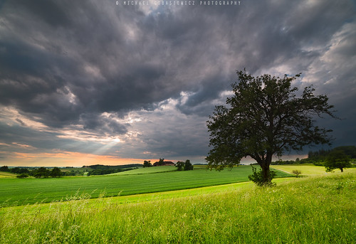 sunset tree rural landscape austria cloudy meadow haag loweraustria mostviertel