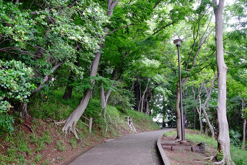 綱島公園