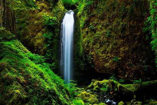longexposure green nature water oregon landscape waterfalls pacificnorthwest columbiarivergorge mossygrotto