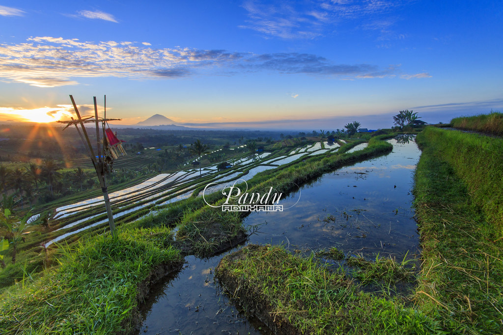  Influenza A virus subtype H5N1 Glance at The Lush Tegalalang Rice Terraces of Bali   Ze    Bali Travel Attractions Map and Things to do in Bali: 48 BALI  GEDE