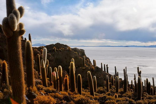 Salar de Uyuni - De Lima a San Pedro de Atacama (5)