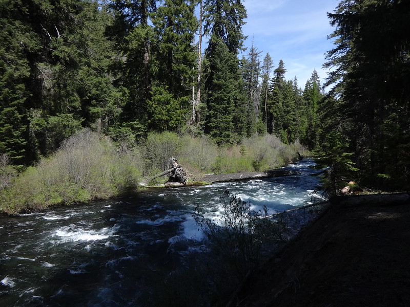 Metolius River Backpack Trip: 5/1/14-5/3/14 - Oregon Hikers