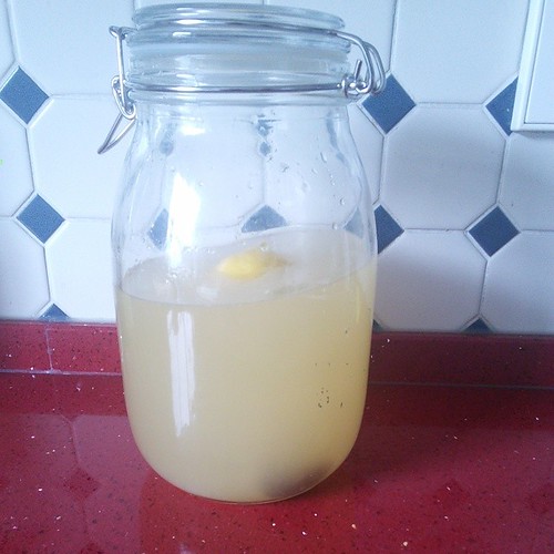 Neuer Versuch: 1 l Wasser, 100 g Palmzucker, 30 ml Ingwersaft, Saft einer Zitrone durchs Sieb gegossen, 1 Aprikose, 1/2 Zitrone, 25 g "Kristalle"