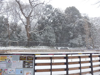 Yoyogi Pony Park