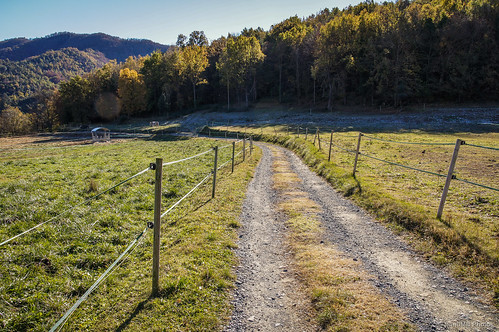 autumn españa fence way camino path otoño cataluña valla osona sal18250 santamariadebesora