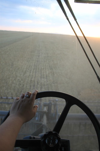 Sunset from a combine cab, nothin' better.