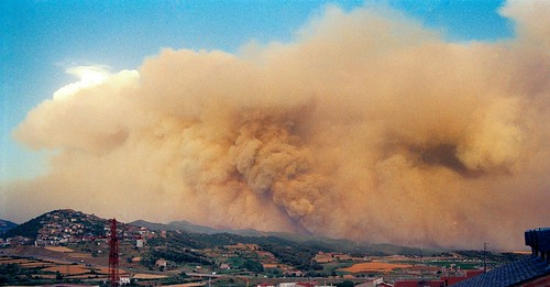 Imatge d’un dels incendis produïts al Berguedà a principis de juliol de 1994 prop de Berga
