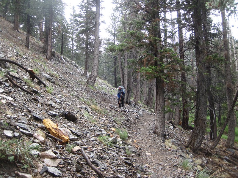 Climbing the switchbacks in the rain on the Dry Lake Trail