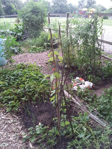 The Side and Main Sections of Our Garden