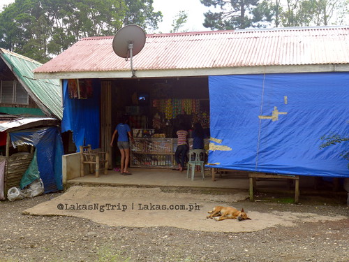 One of the stores nearby. DDD Habitat Inc. in Lorega, Kitaotao, Bukidnon