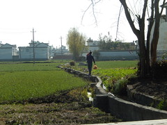 the application of water to land to assist in growing crops