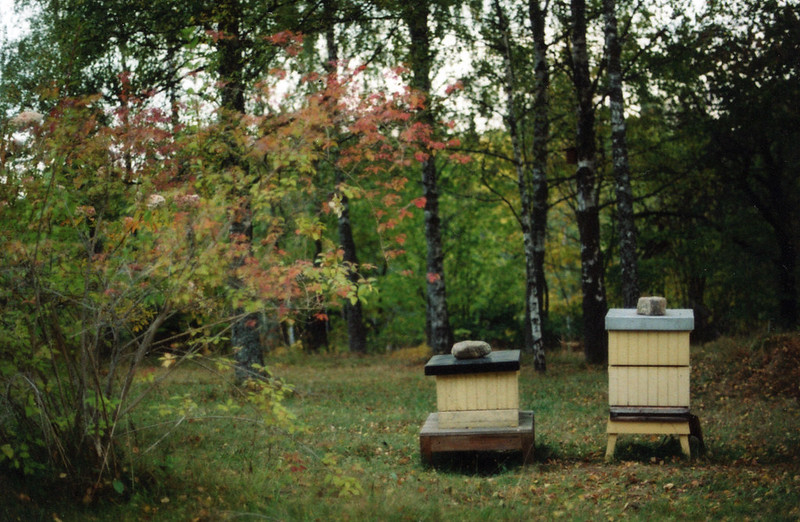 Beehives ready to winter