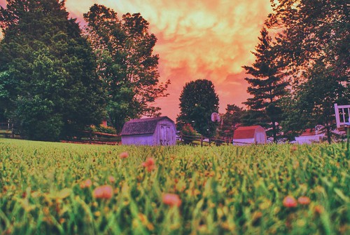 trees light sunset summer sky orange sun tree green yellow geotagged skies sony alpha geotag app 2014 handyphoto iphoneedit snapseed jamiesmed