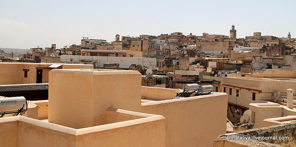 Зачем в этом марокканском городе каждому туристу вручают веточку мяты? IMG_5307