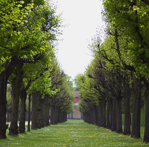 park berlin green canon grün 2014 schlossparkcharlottenburg strasenansicht