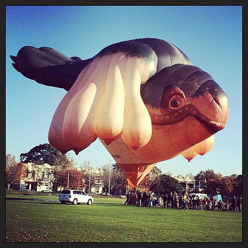 Spotted on my way to work this morning. Frickin' awesome! #skywhale