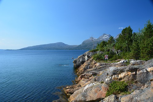 norway rock swimming wasser norwegen fjord bodø felsen badestelle skjerstadfjorden