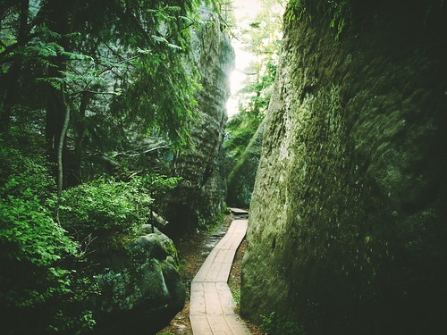 rocks path #nature #photography #mountains #green