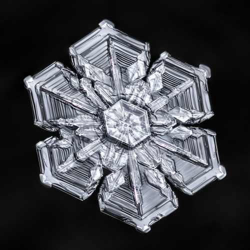snowflake snow flake ice crystal skeletal arrowhead symmetry macro focusstacking frozen mpe