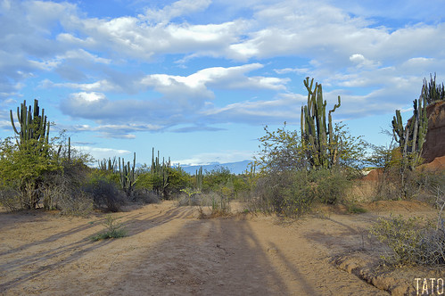 colombia desierto huila desiertodelatatacoa colores cálido cielos vida vegetal naturaleza nubes nikon sombra cactus texturas tierras montañas