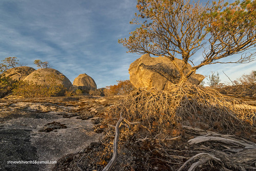 outcrop australia westernaustralia 1424mm d800enikon jarrahdalestateforestmount cookesunsethdrundergrowthnikonnikon f28rocksrocky