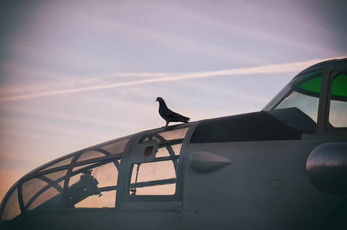 sunset arizona airplane pigeon aviation b25 bxk buckeyeairfair lauridsenaviationmuseum