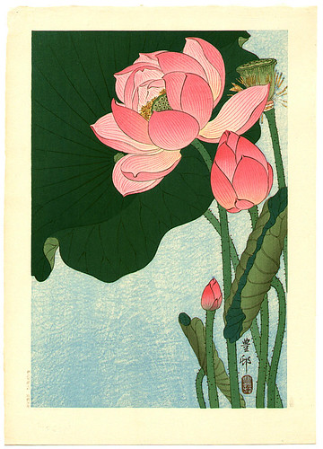 017-Loto florido 1930-Ohara Koson -via-Ukiyu-e-org