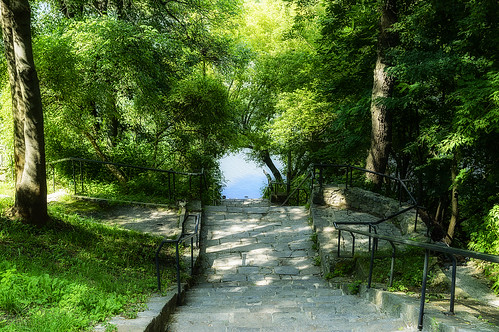 trees summer stairs river landscape nikon ukraine creativecommons d3200