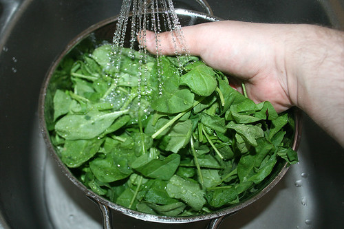 12 - Blattspinat waschen / Wash leaf spinach