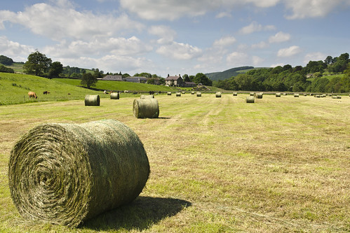 uk countryside nikon farm yorkshire straw bales northyorkshire nidderdale 2014 pateleybridge nikonafs1755mmf28g d7000 nikond7000