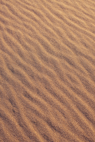 sand landscape ripples detail sanddunes sanluisvalley colorado dearth greatsanddunesnationalpark nps nationalpark texture mosca unitedstates us