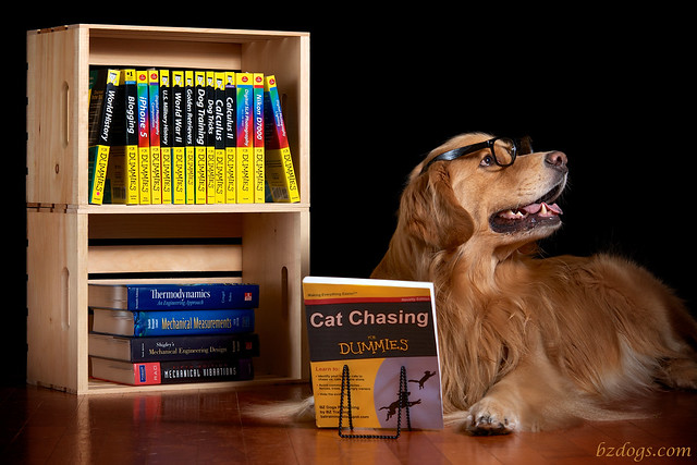 The Educated Dog
