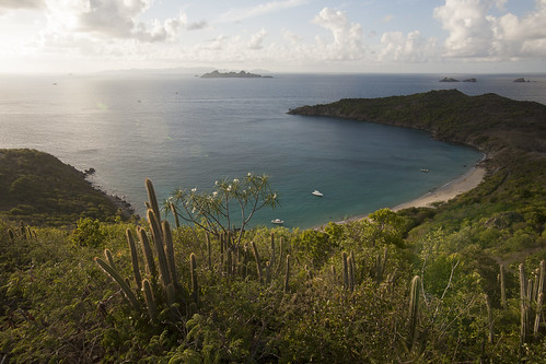 sunset cactus west classic saint canon de french island eos 1 soleil mark coucher tropical 5d canon5d caribbean tamron plage barth stbarts mk stbarth coucherdesoleil guadeloupe antilles cocotier indies gwada 971 cocotiers île caraibes sbh 1735 frenchwestindies tamron1735 gustavia colombier fwi karukera barthelemy tropiques saintbarts antillas saintbarth saintbarthelemy i saintbart barthélémy f284 colombierbeach 5dmark1 ansecolombier karukéra