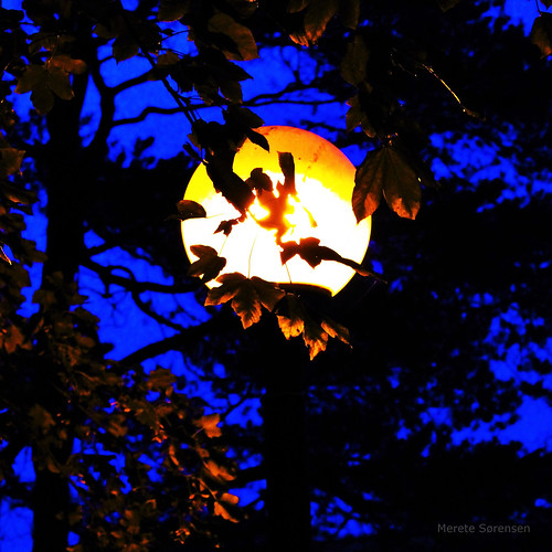 park morning blue autumn trees light sky orange moon black tree fall lamp colors beautiful leaves silhouette norway contrast canon dark private square geotagged outside photography eos stavanger norge photo 3d saturated glow quiet shine post highcontrast vivid orb calm follow foliage lamppost madness squareformat mysterious electricity translucent moonlight cropped brightcolors lowkey magical centered squared allenginsberg beforesunrise complimentary frondescence leafage cen complimentarycolors våland 25september likeamoon gjennomskinnelig eos1100d 25092014 aprivatemoon