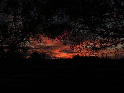 sunset red sky orange sun tree clouds alabama iphone 5s
