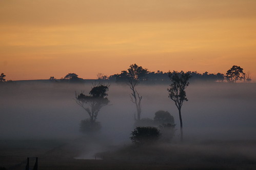 morning mist fog sunrise dawn australia queensland