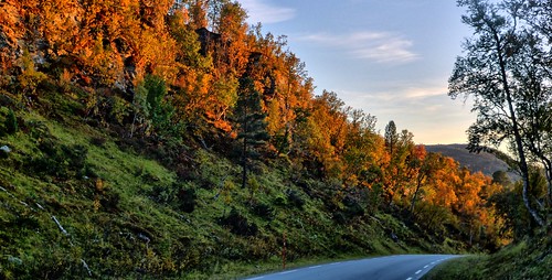 road autumn valley
