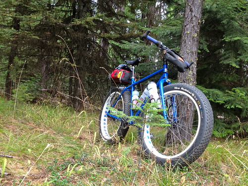 surly pugsley waha bike bicycle ride idaho 2014 14 september sept drg53114 drg53114p trail forest drg531ppugsley drg531
