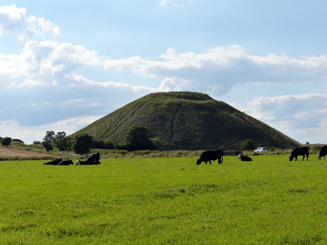 Cows and Silbury Hill
