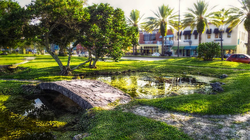 youcanalwaysgodowntown daytonabeachflorida downtown bridge pond park palmtrees garden businesses scenic landscape