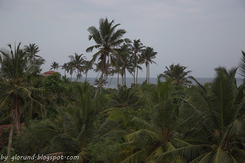 landscape outdoor outdoors palm plant scene sea tree view glorundblogspotcom