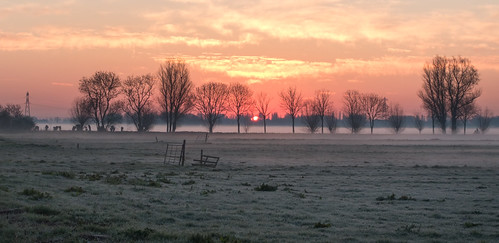 nederlandvandaag fence fencefrday fog grass groundfog haze hff moped sun sundawn sunrise trees