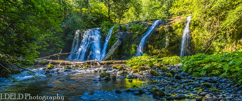 washington olympicpeninsula waterfall stream beavercreek beaverfalls beavercreekfalls