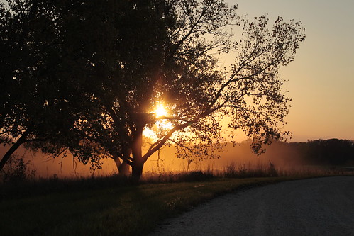 road sunset dusk dust bannermarsh illinoisdepartmentofnaturalresources bannerillinois