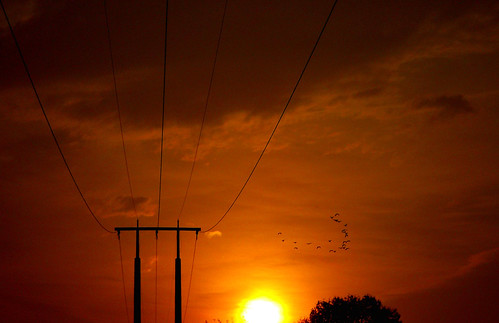 sunset sky españa sun tree sol clouds atardecer twilight spain dusk pylon cables wires cielo nubes árbol cantabria flockofbirds crepúsculo zurita piélagos torredealtatensión bandadadeaves
