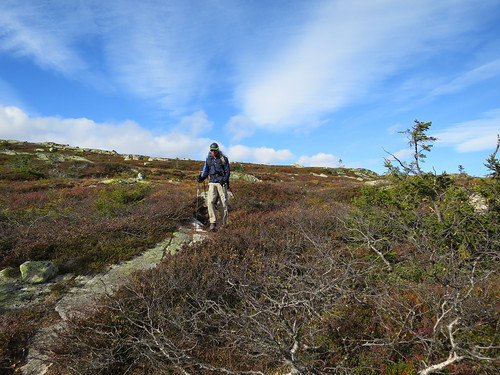 norway buskerud høgfjellet