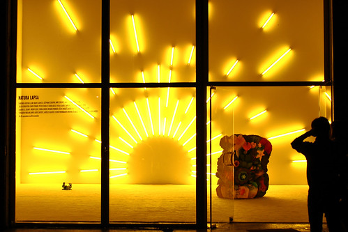 france art museum contemporaryart exhibition exposition vernissage artcontemporain poitiers centredart confortmoderne entrepôtgalerie naturalapsa