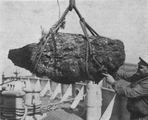 重達421公斤，163公分長，75公分寬的龍涎香。圖片取自Clarke, R. 1954. A great haul of ambergris. Nature 174: 155-156.