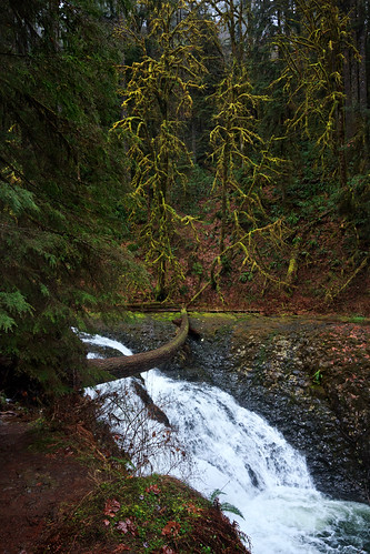 silverfalls oregon waterfall twinfalls forest